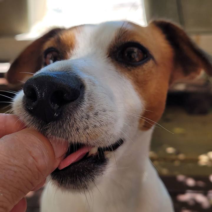 1d816896 2a83 464d 9dda ccad6f2b3e14 1697524702646