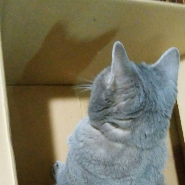 1d816949 cc0c 43f2 9e82 3192e95069d6 1595680010554