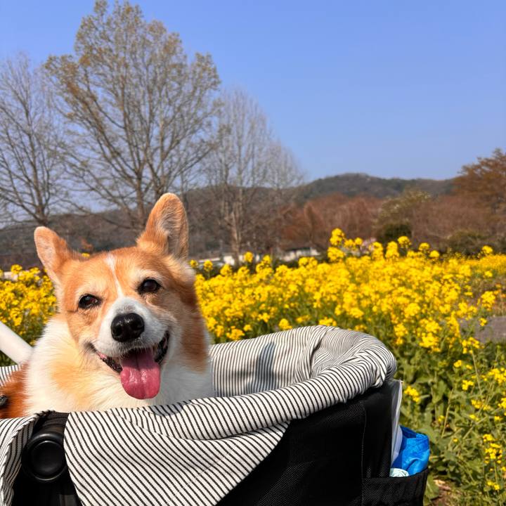 1d81696f fdf6 401a b5de a94eb222dc55 1774743131692