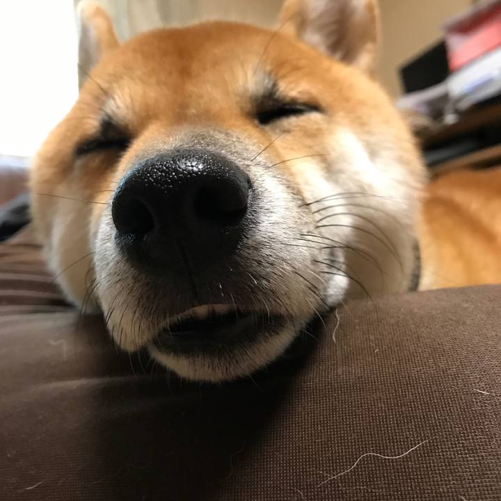 1d816c9a f63a 42ca b65d e7b4ffc7167b 1524095533860