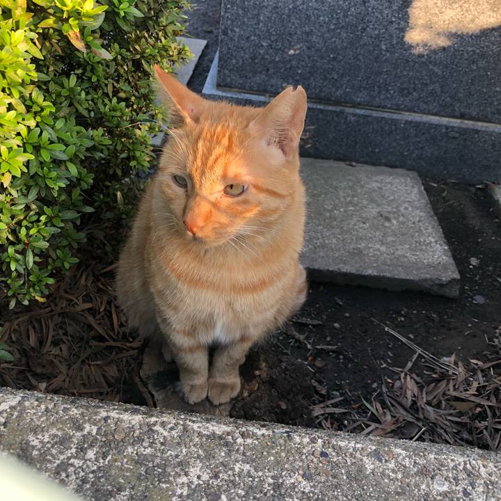 1d817fb1 66ab 44f8 b377 c2d404bf3c00 1537432738957