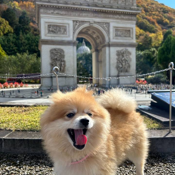 1d81977c fb44 4063 8def cbc07ace8258 1732024347455