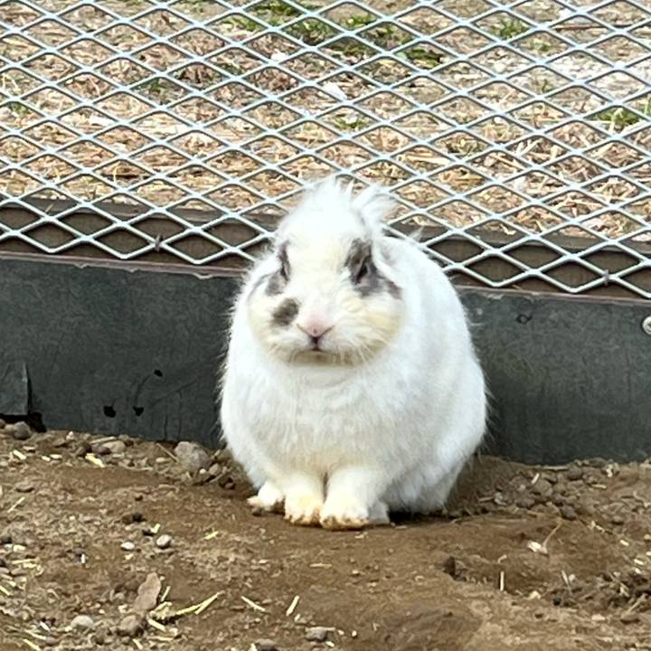 1d81c9c0 db49 498d bfcd 72ae0bfeeb30 1708228922488