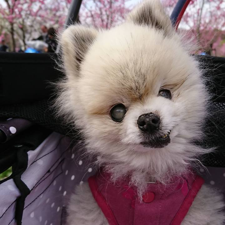 1d820b7a 1b6d 44c6 94b9 f647cf4b31e7 1521900210304