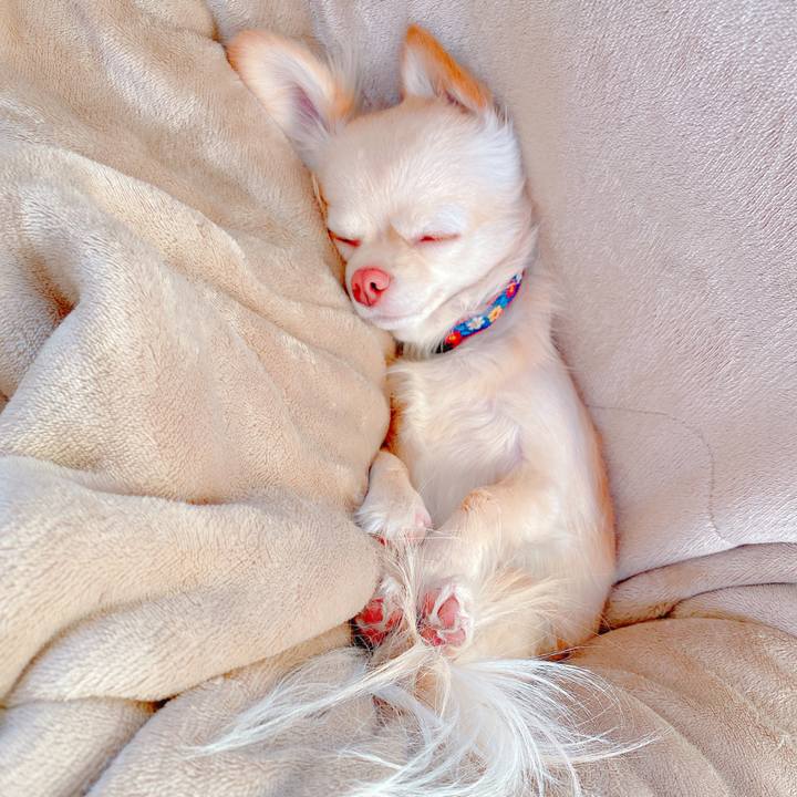 1d822cc0 3ae5 4d4c b0a5 c92e8a8c0f60 1646031962893