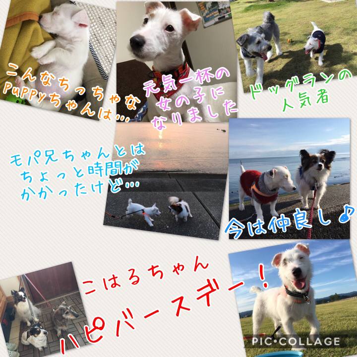 1d82479f 2abe 410d b0fc 12ecd9f57c9f 1518061775863