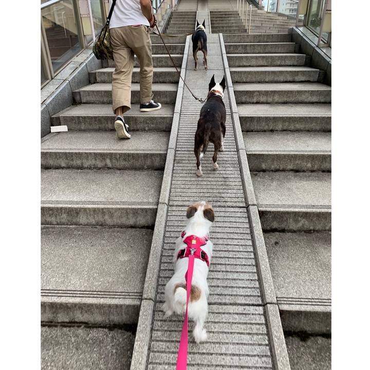 1d825f77 3493 42b4 9090 eabb42106658 1570354240116