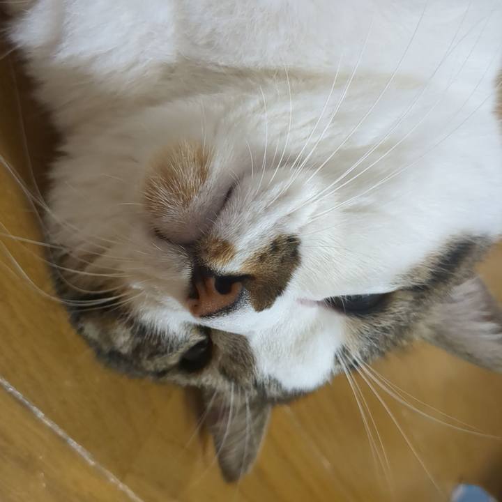 1d828d0d 3610 4625 968a f1478b77be57 1758195323356