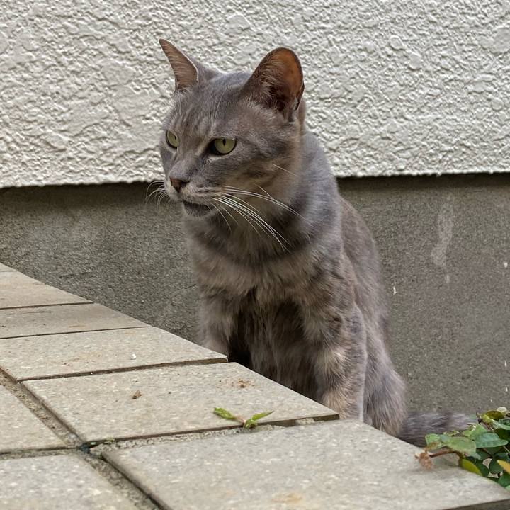 1d82a128 ca9f 47a9 9810 d06fc7200898 1596346406678