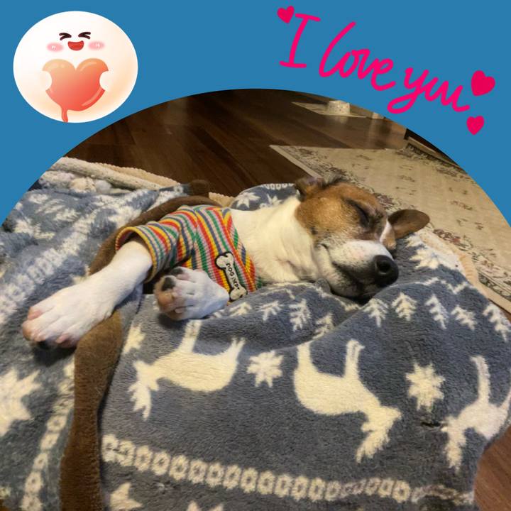 1d82d61e d356 4bd0 8e50 4513ab9b3c84 1740922308645