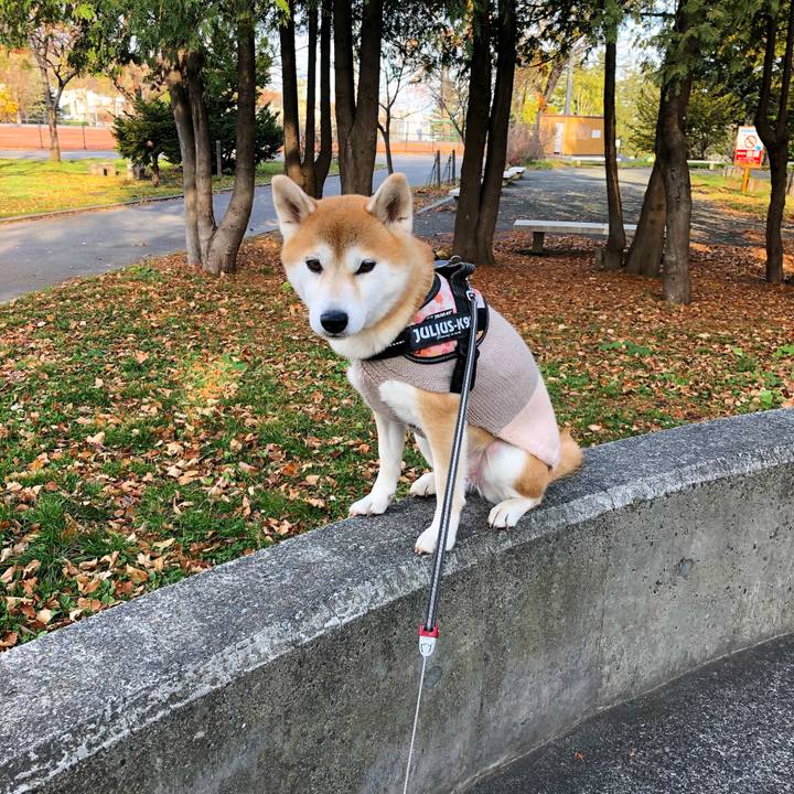 1d82fd15 5f87 4384 ac59 8d886586ea88 1573441921956