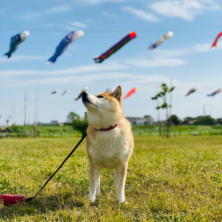 1d83040f 8178 4f3f a92a 2ae4731ddb2c 1620197985924