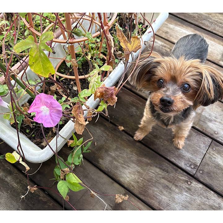 1d830a0c a3f5 41b2 8a25 7a123748ab63 1731713507149