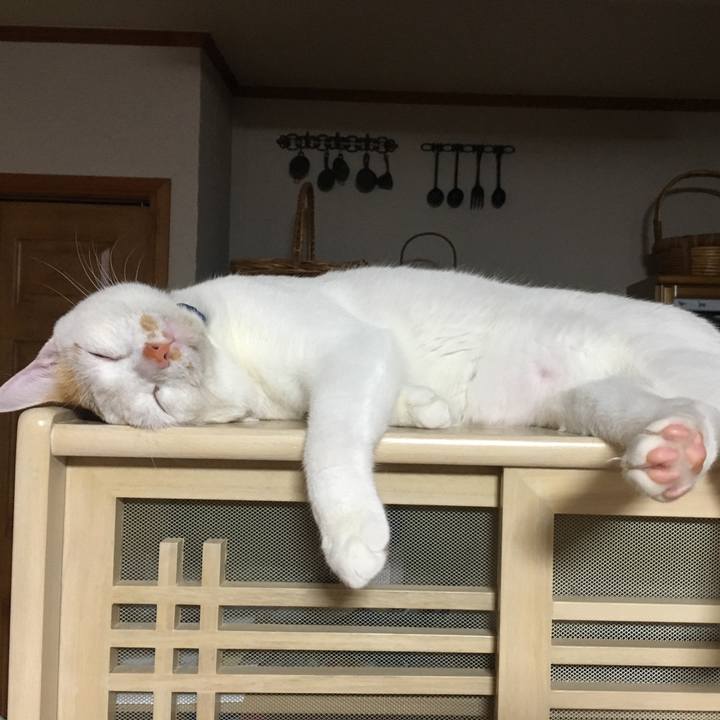 1d831600 b992 4b25 aa86 99eb59c442c9 1529332581317