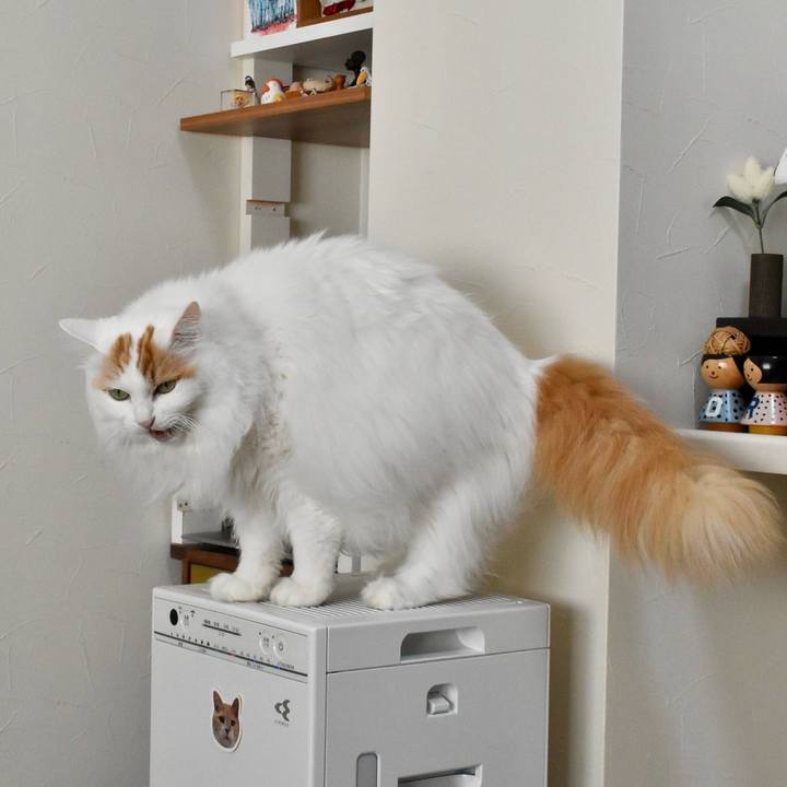 1d837d73 1665 4b25 9d56 d0e20b5d7365 1771723526686