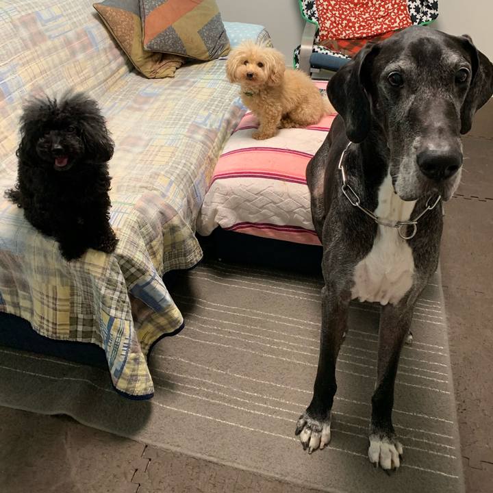 1d83ac73 6b55 46a1 8a0a 3d6f6a55ac77 1601591637379