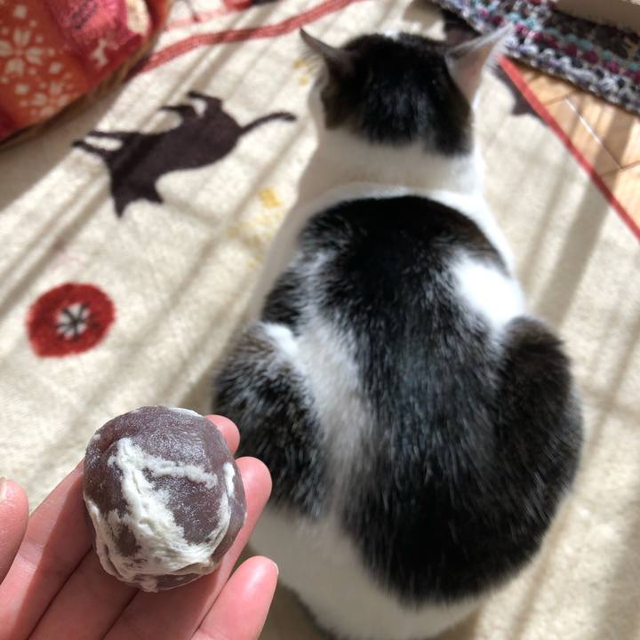 1d83d309 f3c2 43a6 b8fd 1d0edadff042 1705067658431