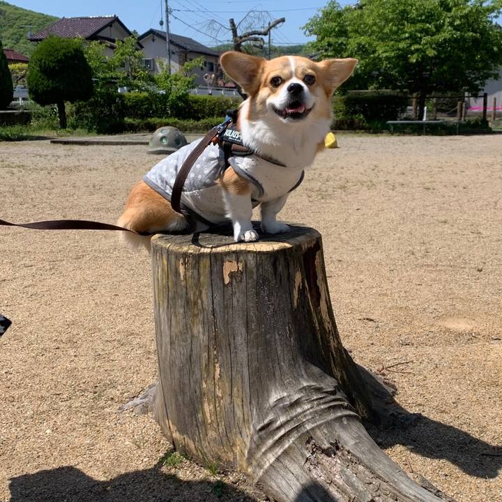 1d83dc3b e1ce 4ff4 a6cf f81731e0006b 1618457608130