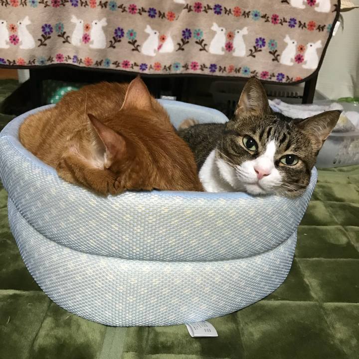 1d83e7af 6061 4029 aeed b1f9c7fa6c17 1509177658668