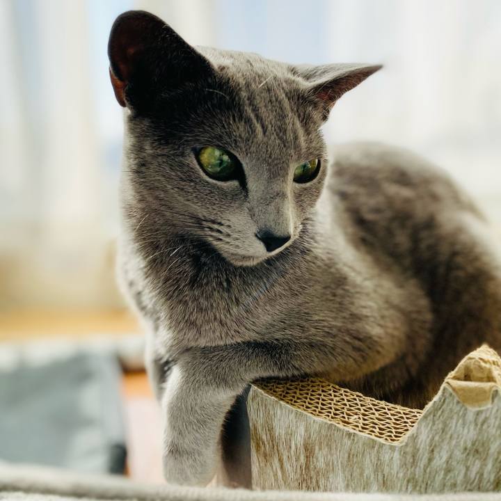 1d84221b fa3a 4b01 9b77 21a33db720ef 1644975886833