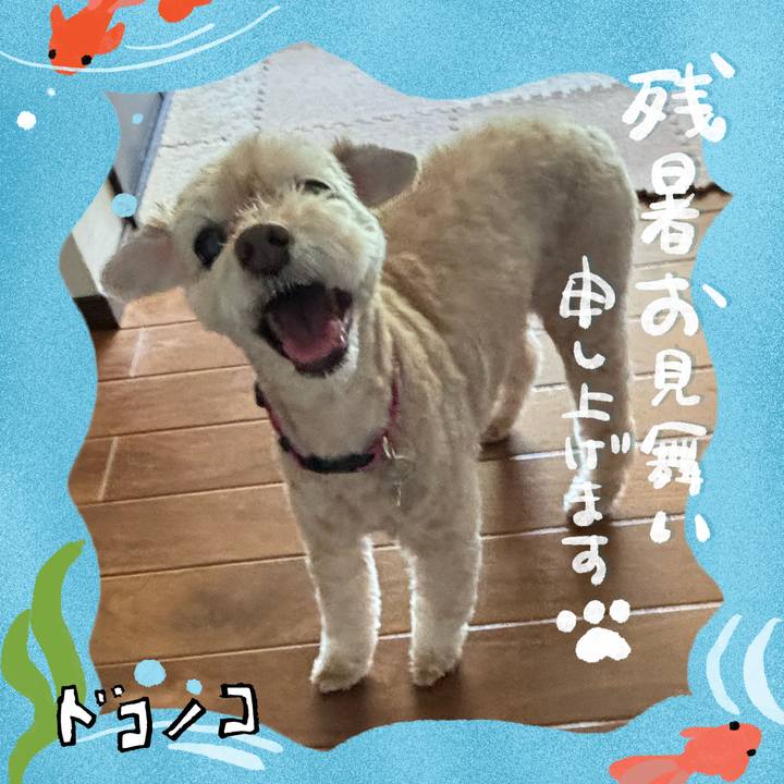 1d84618a 203f 458d 8824 84968e521676 1723285919854