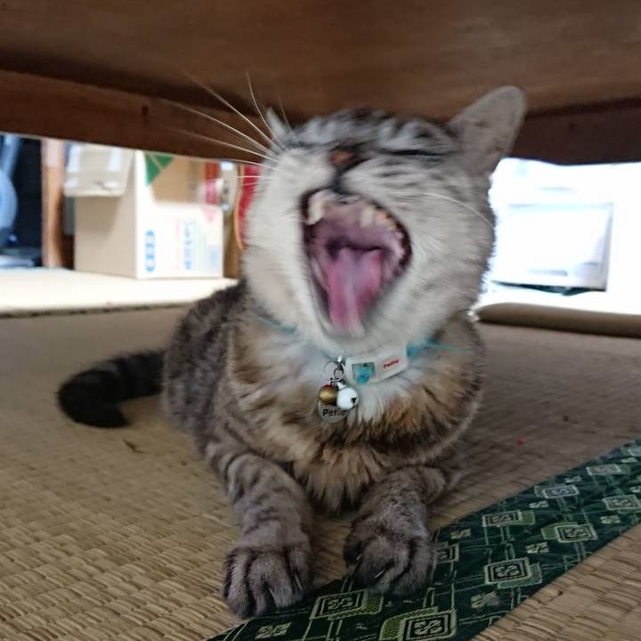 1d84849d 0e4d 4a68 918f 9cd0a7f6aacb 1567246233727