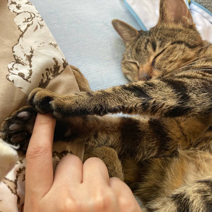 1d84d225 98b9 423b 9911 b9bcd9e51b7f 1714899643734