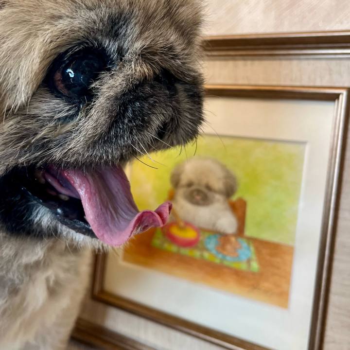 1d84e7a0 dcea 4397 b1dd a42d42f69a8f 1745895927030