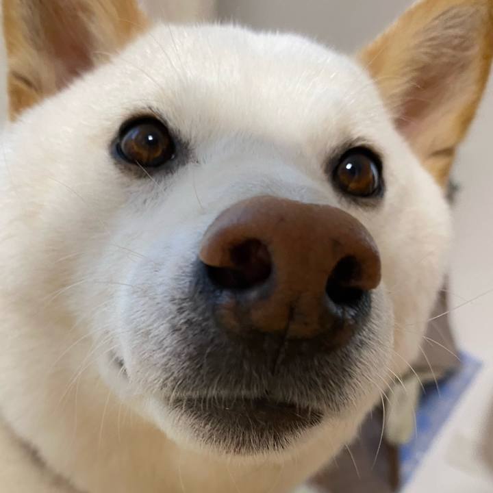 1d850804 63ab 4fb5 bf44 ee603b6cb5b0 1649410815205