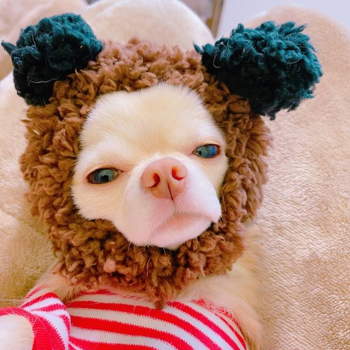 1d8576ca cdf4 44e7 9adb 4feecb0d732b 1628482396906