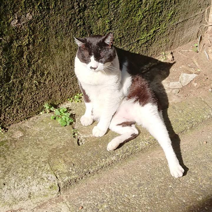 1d858d71 d2d7 4c13 b226 1f6298632b42 1592350613017