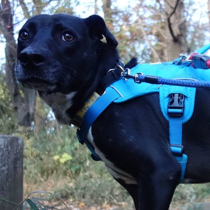 1d85c2b8 45eb 4b83 89f7 5e05b54c2100 1606694017798