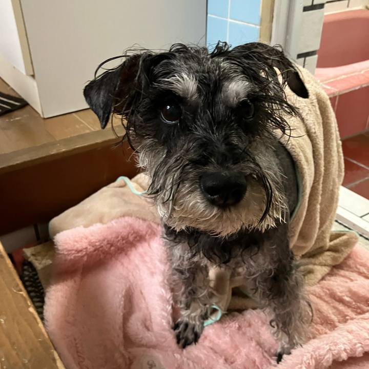 1d85eec1 39e5 4e69 b37d f3cb3d8ed038 1745137695543