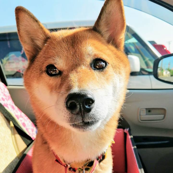 1d85f0b5 87cd 46be ba43 8a6aab5fa602 1598339576214