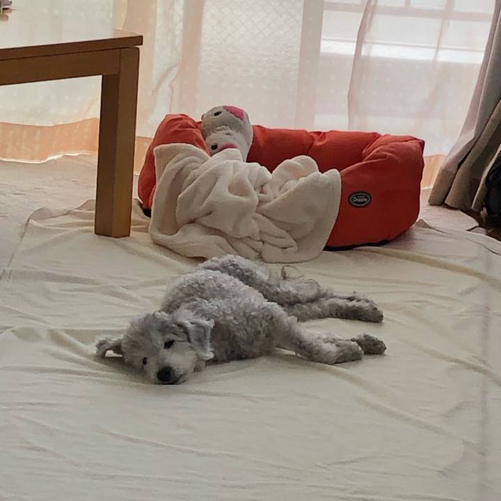 1d860628 6c91 40e7 a899 fa904e2f9351 1592285336681