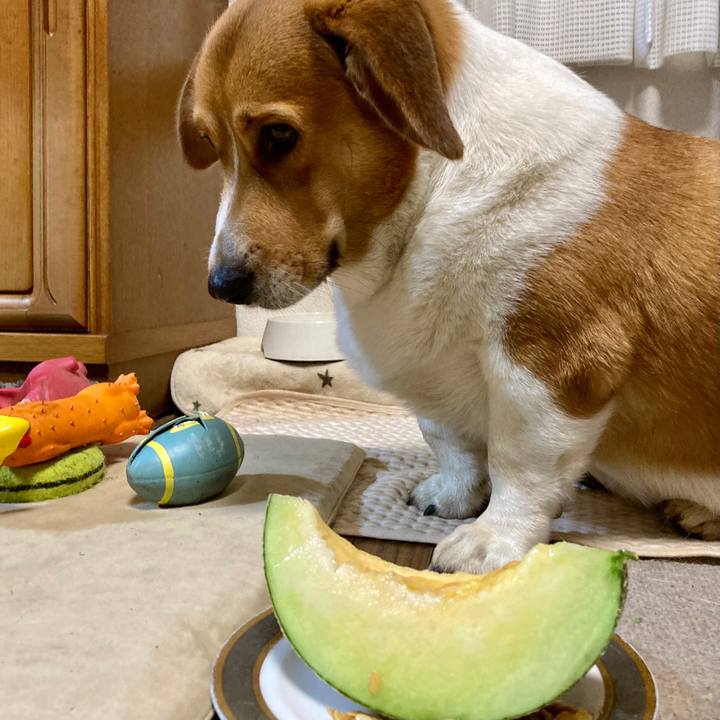 1d860672 cd1a 4bc8 a6f4 69049d0a374d 1692705369851