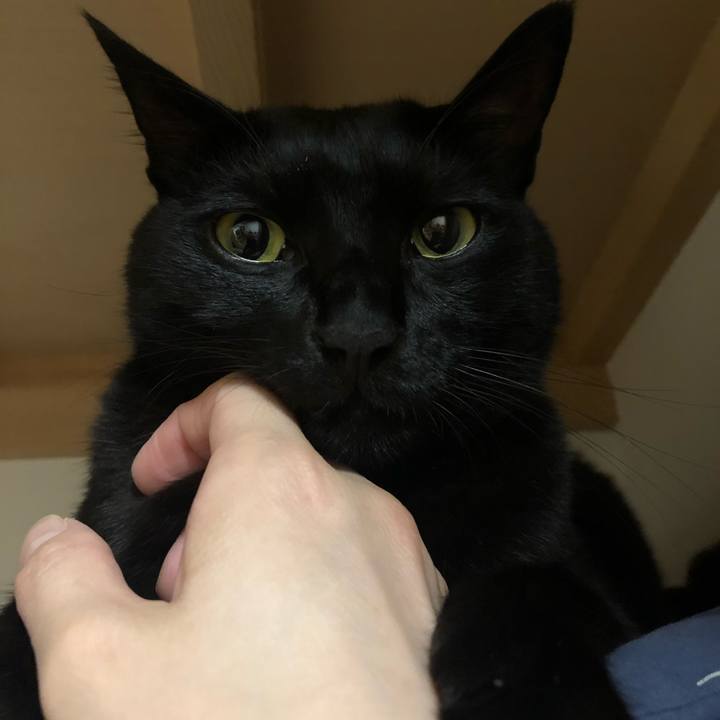 1d862120 bd83 4c78 a75f 0e73384e255e 1572267620660