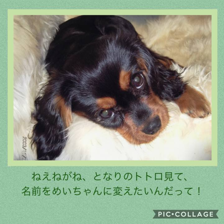 1d863f76 7426 4898 bf01 9c46b0472b57 1534509843765