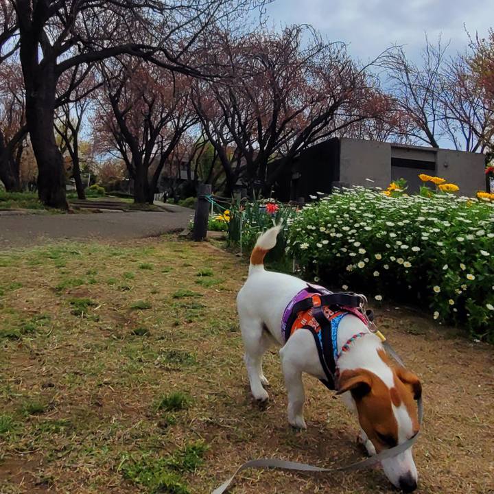 1d865df0 2e96 4e35 8793 1477d9657120 1712908969175