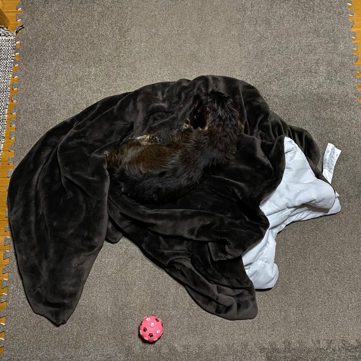 1d86b068 1ddf 4721 bb69 cd291618a01a 1576321675067