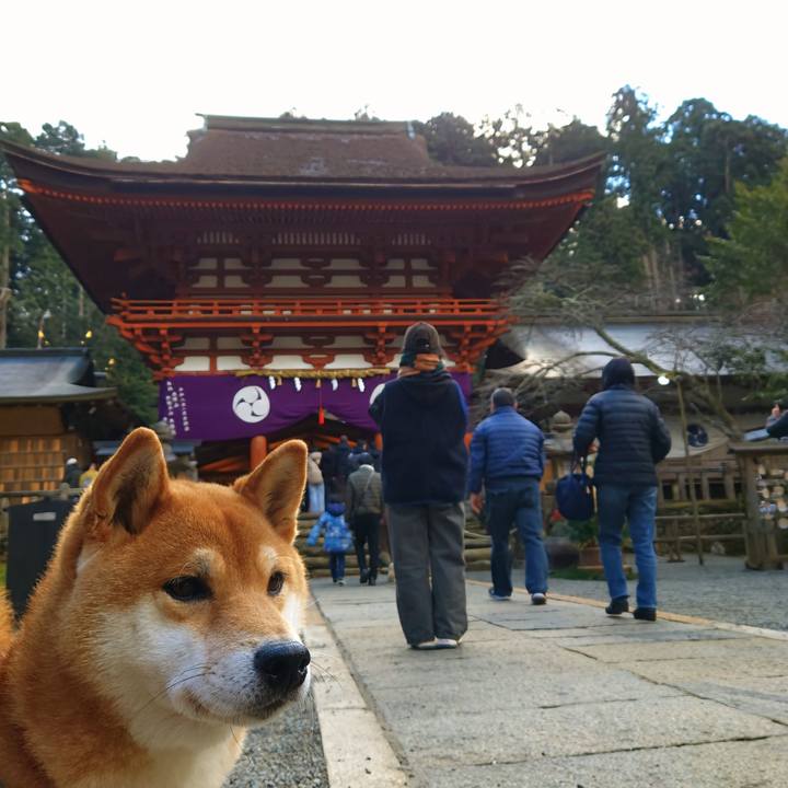 1d86b2f5 5352 41e6 a74a f4918b2d0de6 1767259827653