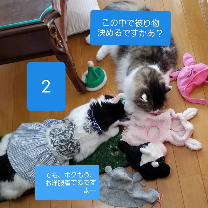 1d86d66a 2c62 47fd a674 8125eb5d0c11 1544354225574