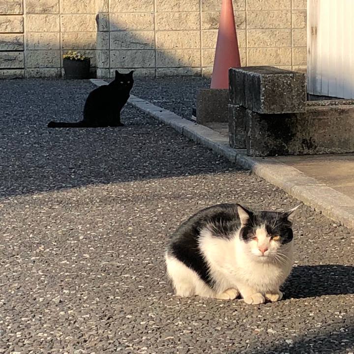 1d86f973 22e2 4100 b38f 4a7874726cba 1519127483631