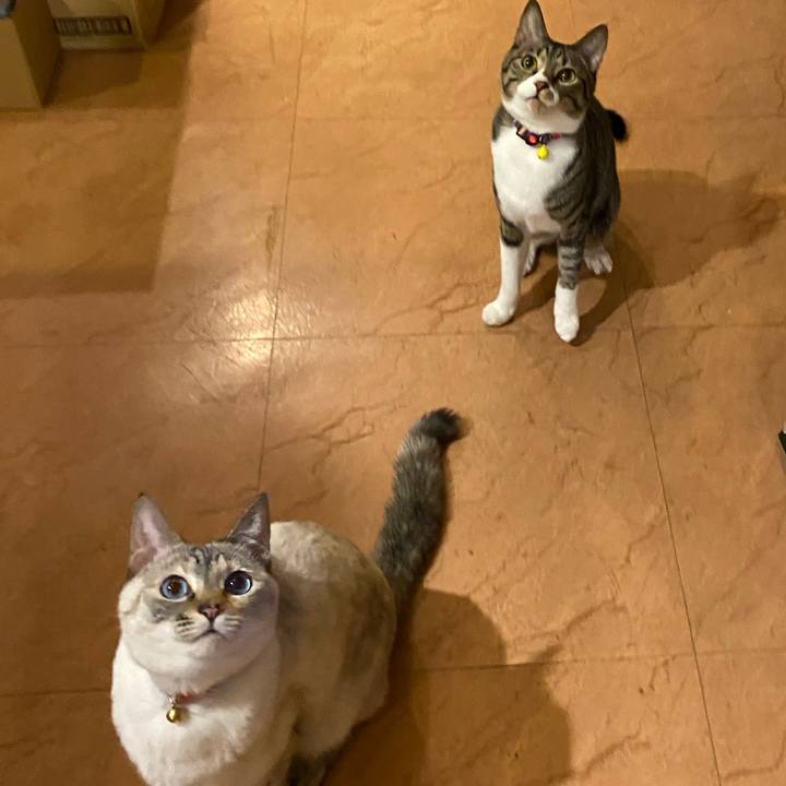 1d86fc79 3d00 4e70 a480 d134eee597db 1708593759890