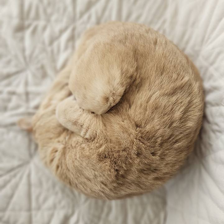 1d870885 c634 4115 9ee0 393552065826 1740286311434