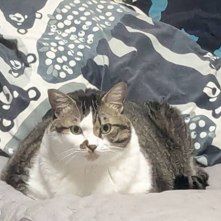 1d873c62 8335 4cf9 a45e a7c00122af96 1759353320153