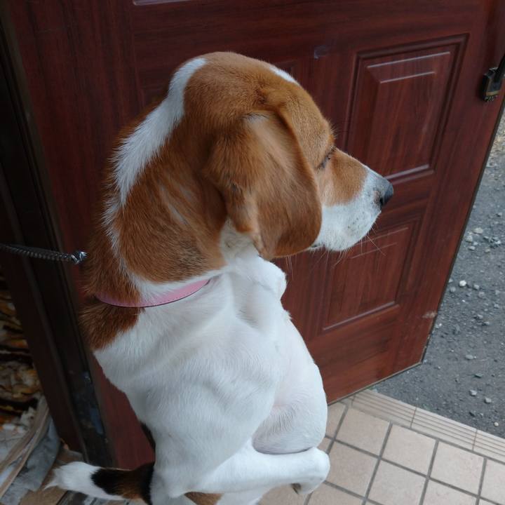 1d8751e2 001c 4cfe 853a 13e84290232e 1577605270201