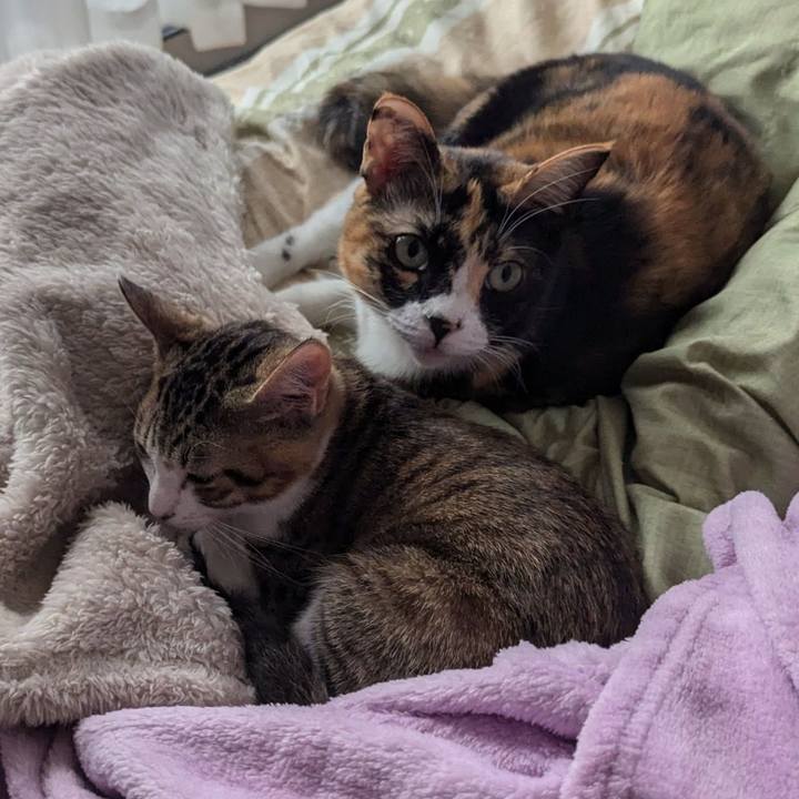 1d87f1ca f148 4cb9 8148 0dcb503e4fcb 1733125585865