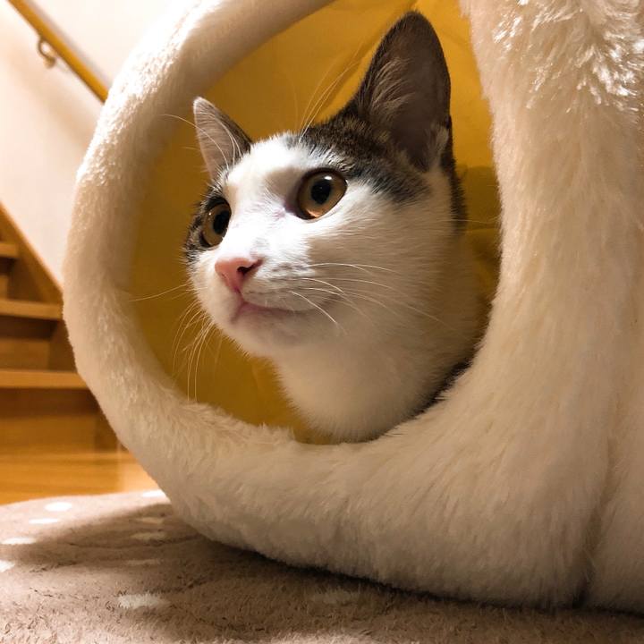 1d880ed2 fead 4a8d 98b7 c7da2e106587 1573820052437