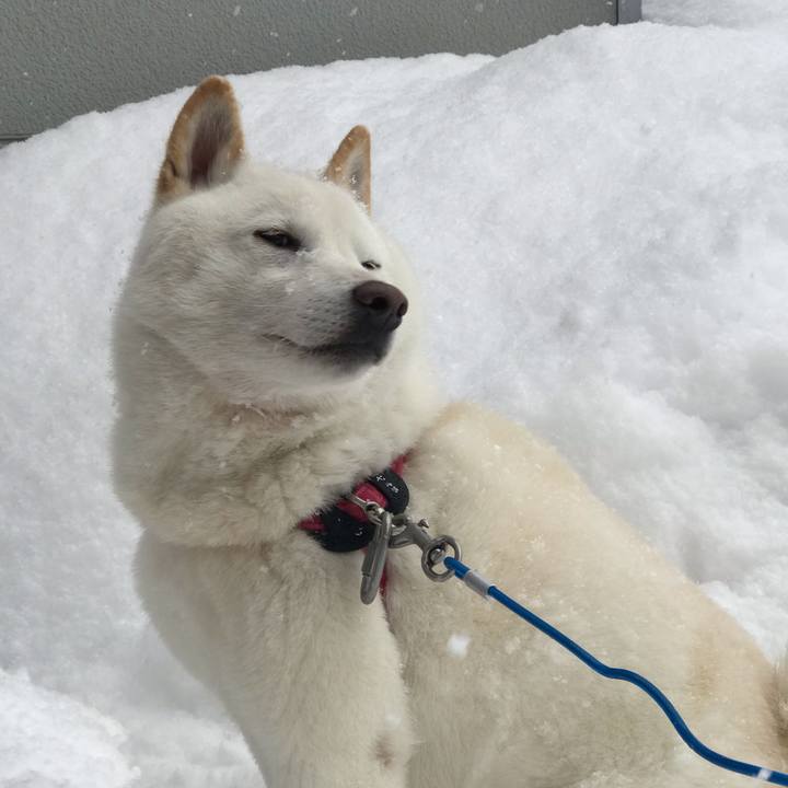 1d881be2 63f5 4d7d a407 1412bc335adf 1549544351648